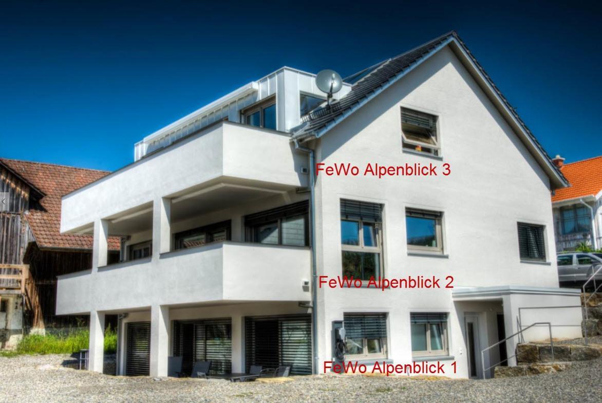 Alpenblick 3 Apartment Bodolz Bagian luar foto