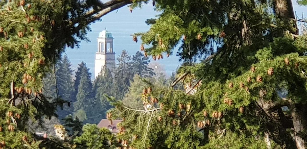 Alpenblick 3 Apartment Bodolz Bagian luar foto