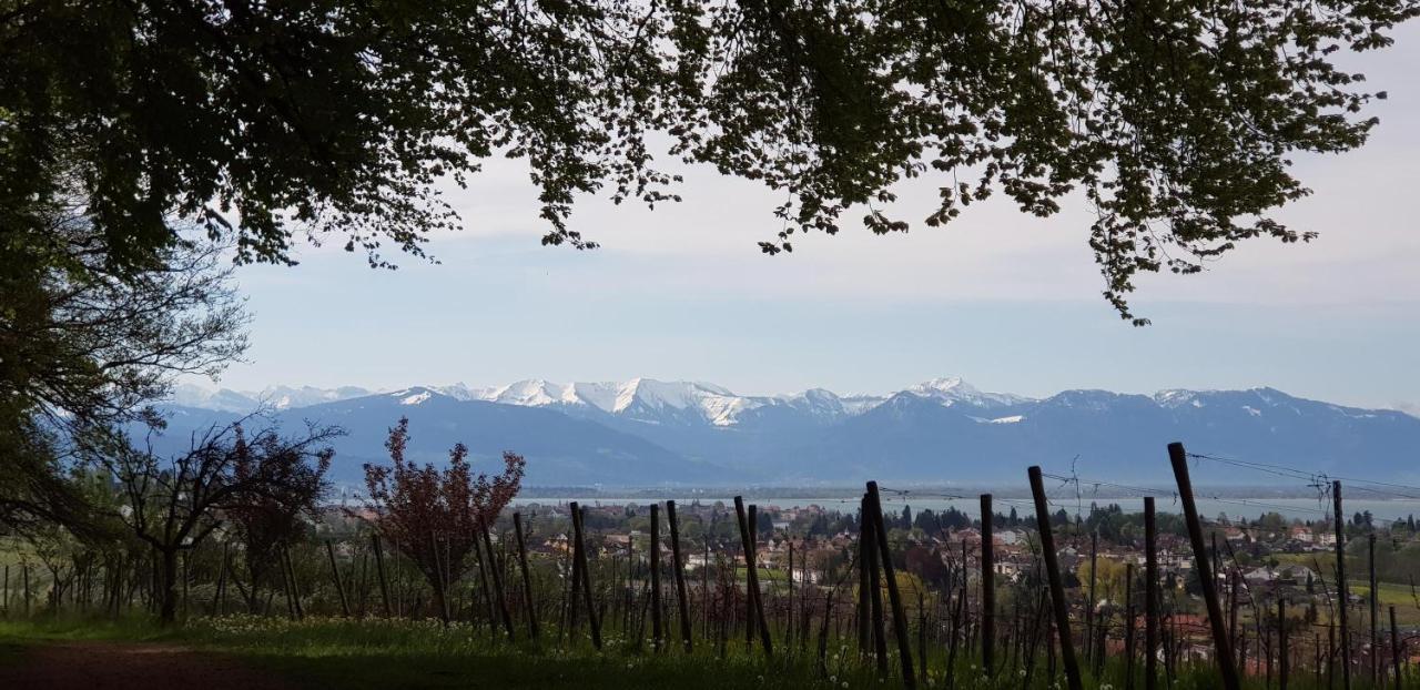 Alpenblick 3 Apartment Bodolz Bagian luar foto