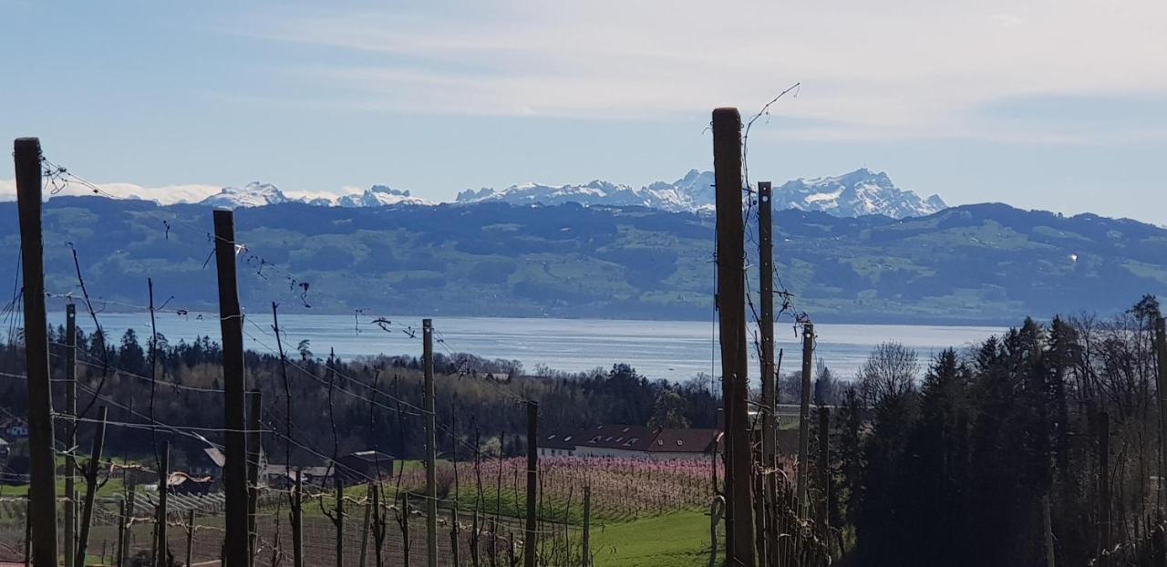 Alpenblick 3 Apartment Bodolz Bagian luar foto